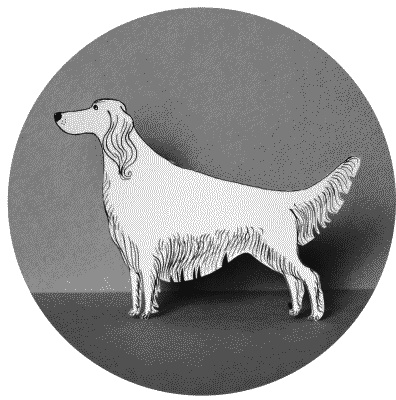 Иллюстрация к книге — Тесты для вашей собаки. Измерь IQ домашнего любимца и пойми его психотип [i_102.jpg]