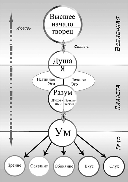 Иллюстрация к книге — Аюрведа. Философия и травы [i_003.jpg]