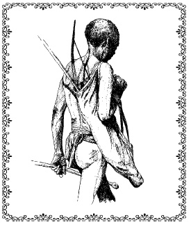 Иллюстрация к книге — Аюрведа. Философия и травы [i_086.jpg]