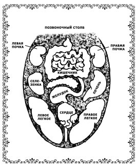 Иллюстрация к книге — Аюрведа. Философия, диагностика, Ведическая астрология [i_015.jpg]