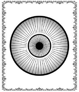 Иллюстрация к книге — Аюрведа. Философия, диагностика, Ведическая астрология [i_018.jpg]