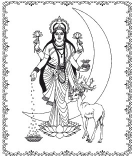 Иллюстрация к книге — Аюрведа. Философия, диагностика, Ведическая астрология [i_040.jpg]