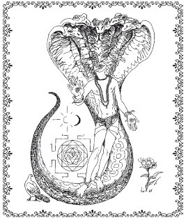 Иллюстрация к книге — Аюрведа. Философия, диагностика, Ведическая астрология [i_047.jpg]