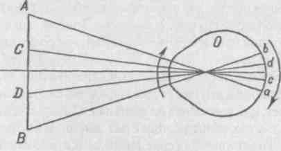 Иллюстрация к книге — Элементы мысли [img_6.jpg]