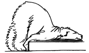 Иллюстрация к книге — Анализы и диагнозы. Это как же понимать? [_077.jpg]