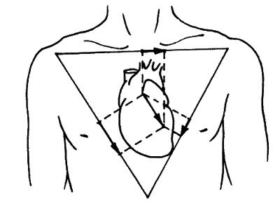 Иллюстрация к книге — Анализы и диагнозы. Это как же понимать? [_109.jpg]