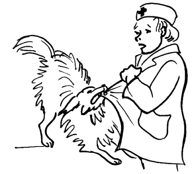 Иллюстрация к книге — Анализы и диагнозы. Это как же понимать? [_146.jpg]