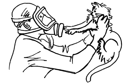 Иллюстрация к книге — Анализы и диагнозы. Это как же понимать? [_149.jpg]