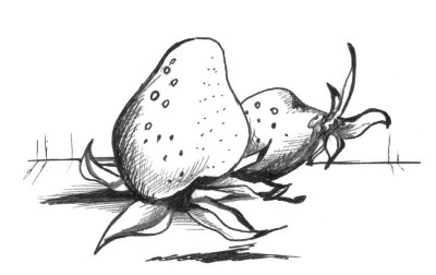 Иллюстрация к книге — Супер сердце. Революционное исследование о связи сердечно-сосудистой системы и питания [i_005.jpg]