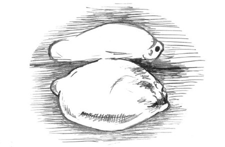 Иллюстрация к книге — Супер сердце. Революционное исследование о связи сердечно-сосудистой системы и питания [i_011.jpg]