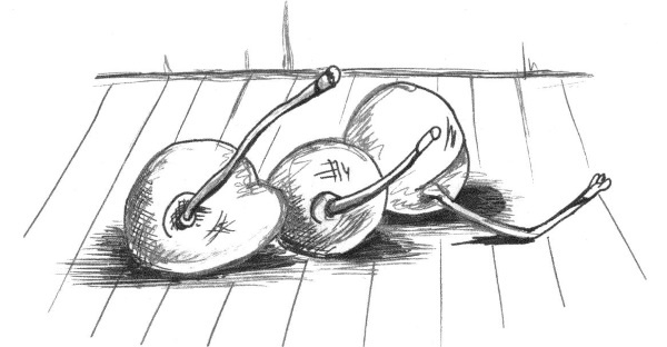 Иллюстрация к книге — Супер сердце. Революционное исследование о связи сердечно-сосудистой системы и питания [i_017.jpg]