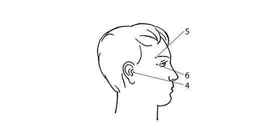 Иллюстрация к книге — Гиперактивный ребенок - это навсегда? Альтернативный взгляд на проблему [i_006.jpg]