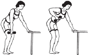 Иллюстрация к книге — Остеопороз. Тихая эпидемия XXI века [Autogen_eBook_id18.jpg]