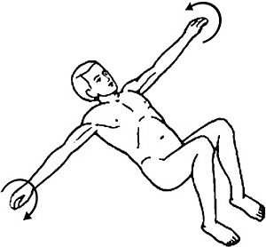 Иллюстрация к книге — Я и мое сердце. Оригинальная методика реабилитации после инфаркта [_19.jpg]