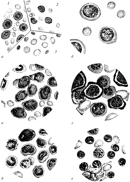 Иллюстрация к книге — Полный медицинский справочник фельдшера [Autogen_eBook_id62.jpg]