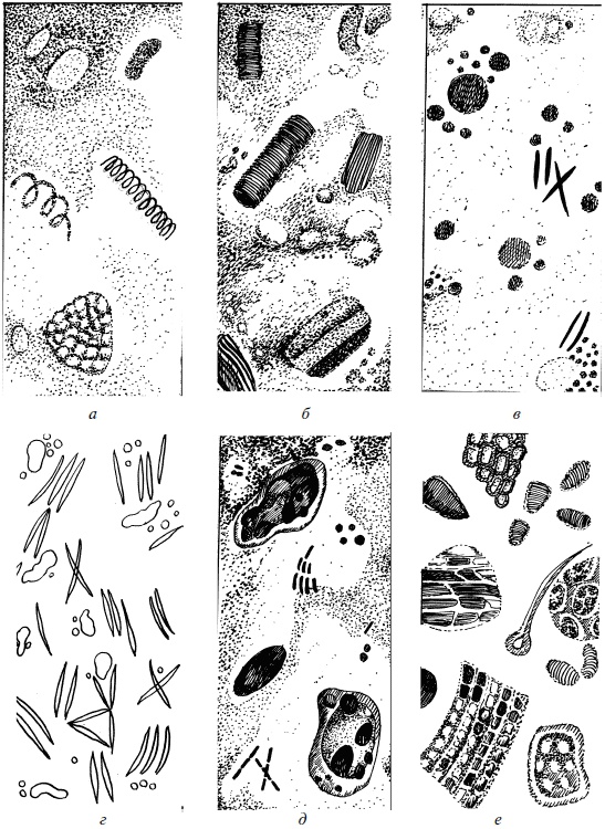 Иллюстрация к книге — Полный медицинский справочник фельдшера [Autogen_eBook_id69.jpg]