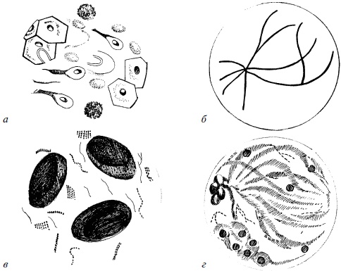 Иллюстрация к книге — Полный медицинский справочник фельдшера [Autogen_eBook_id70.jpg]