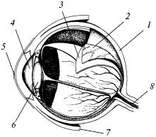 Иллюстрация к книге — Полный медицинский справочник диагностики [_03.jpg]