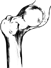 Иллюстрация к книге — Полный медицинский справочник диагностики [_06.jpg]