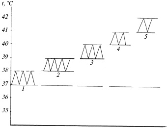 Иллюстрация к книге — Полный медицинский справочник диагностики [_13.jpg]