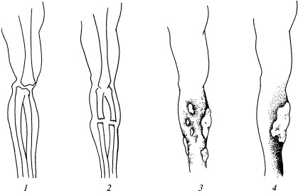 Иллюстрация к книге — Полный медицинский справочник диагностики [_14.jpg]
