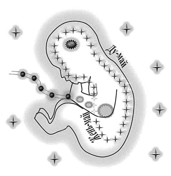 Иллюстрация к книге — Бесплодие – не приговор! [_20.jpg]