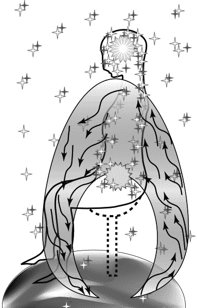 Иллюстрация к книге — Материнство. От зачатия до родов [ris6.jpg]