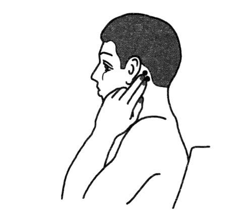 Иллюстрация к книге — Вегетососудистая дистония. Избавиться навсегда! [i_011.jpg]