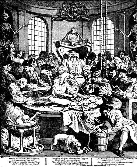 Иллюстрация к книге — От знахаря до врача. История науки врачевания [i_046.jpg]