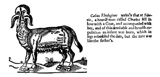 Иллюстрация к книге — От знахаря до врача. История науки врачевания [i_083.jpg]