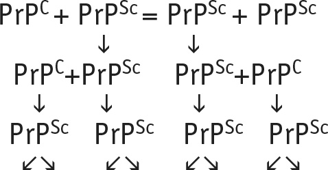 Иллюстрация к книге — Многоликий вирус. Тайны скрытых инфекций [i_021.jpg]