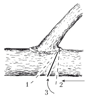 Иллюстрация к книге — Все об обрезке и прививке деревьев и кустарников [Autogen_eBook_id35.jpg]