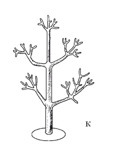 Иллюстрация к книге — Все об обрезке и прививке деревьев и кустарников [Autogen_eBook_id60.jpg]
