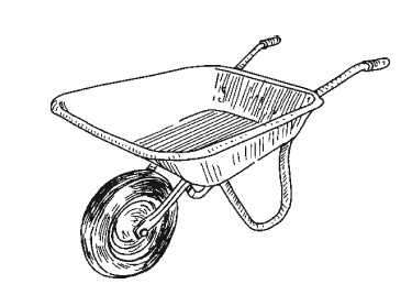 Иллюстрация к книге — Все об обрезке и прививке деревьев и кустарников [Autogen_eBook_id9.jpg]