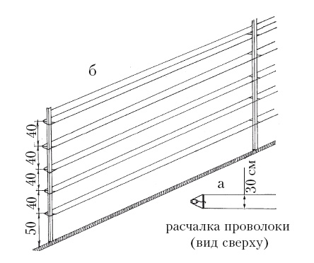 Иллюстрация к книге — Выращивание винограда [Autogen_eBook_id30.jpg]