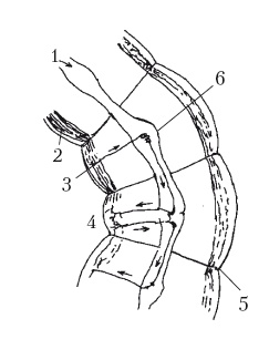 Иллюстрация к книге — Дождевые черви для повышения урожая [Autogen_eBook_id15.jpg]