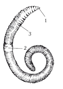Иллюстрация к книге — Дождевые черви для повышения урожая [Autogen_eBook_id2.jpg]