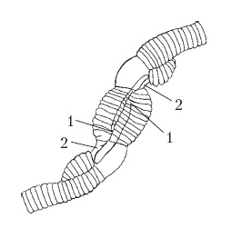 Иллюстрация к книге — Дождевые черви для повышения урожая [Autogen_eBook_id46.jpg]