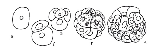 Иллюстрация к книге — Дождевые черви для повышения урожая [Autogen_eBook_id48.jpg]