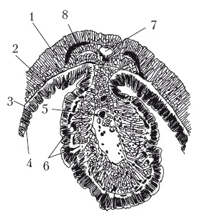 Иллюстрация к книге — Дождевые черви для повышения урожая [Autogen_eBook_id7.jpg]