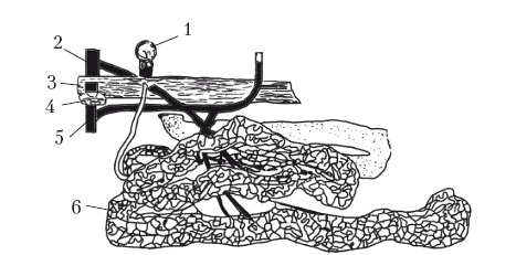 Иллюстрация к книге — Дождевые черви для повышения урожая [Autogen_eBook_id9.jpg]