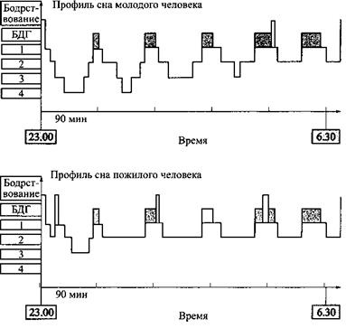 Иллюстрация к книге — Сон. Почему мы спим и как нам это лучше всего удается [i_005.jpg]