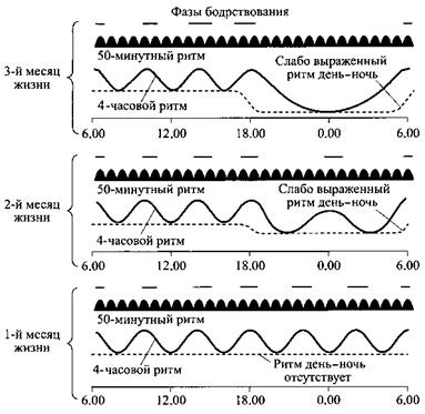 Иллюстрация к книге — Сон. Почему мы спим и как нам это лучше всего удается [i_012.jpg]