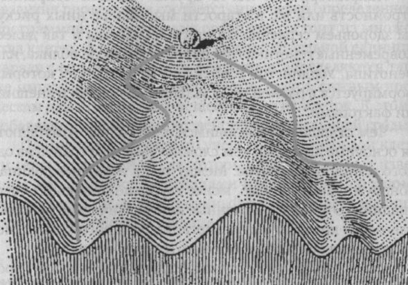 Иллюстрация к книге — Читая между строк ДНК. Второй код нашей жизни, или Книга, которую нужно прочитать всем [i_005.jpg]