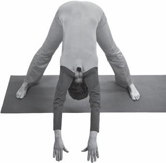 Иллюстрация к книге — Легко родить легко. Пособие для будущих мам [_24.jpg]