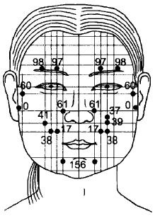 Иллюстрация к книге — Чистка суставов. Современные и традиционные методы [i_001.jpg]