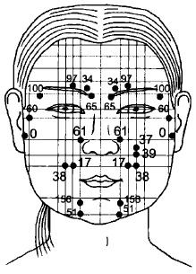 Иллюстрация к книге — Чистка суставов. Современные и традиционные методы [i_003.jpg]