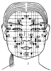 Иллюстрация к книге — Чистка суставов. Современные и традиционные методы [i_004.jpg]