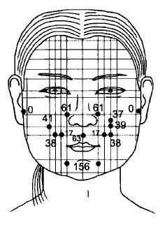 Иллюстрация к книге — Чистка суставов. Современные и традиционные методы [i_006.jpg]