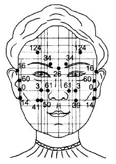 Иллюстрация к книге — Чистка суставов. Современные и традиционные методы [i_007.jpg]